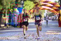 10K Simsa 2025
