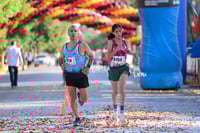 10K Simsa 2025