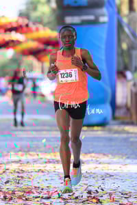 10K Simsa 2025