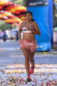10K Simsa 2025