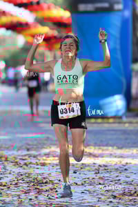 gato araiza