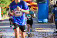10K Simsa 2025