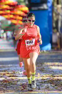 10K Simsa 2025