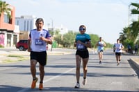 Halcones