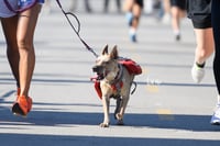 5K Colegio Americano con causa