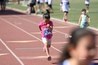 5K Colegio Americano con causa