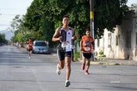 Foto halcones