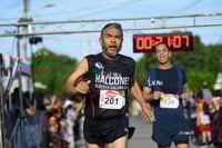 halcones