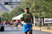 tortugas