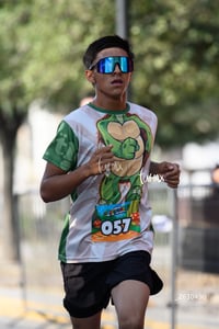 tortugas