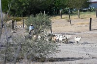 Cañón Jimulco, trail del sotol