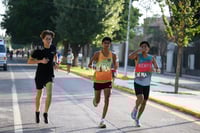 halcones