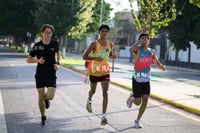 halcones