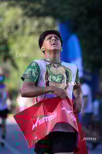 Campeón 4K, tortugas