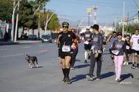 Carrera Artec 21K 12K 5K