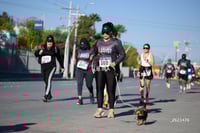 Carrera Artec 21K 12K 5K