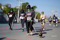 Carrera Artec 21K 12K 5K