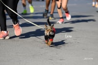 Carrera Artec 21K 12K 5K