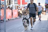 Carrera Artec 21K 12K 5K