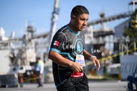 halcones