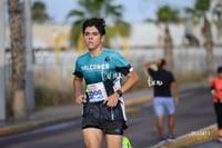 halcones