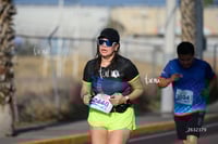 halcones