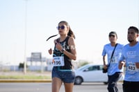 halcones