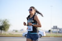 halcones