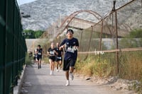 Carrera Moderna Sport Adidas 2025