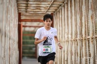 Carrera Moderna Sport Adidas 2025