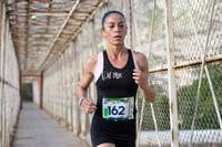 Carrera Moderna Sport Adidas 2025