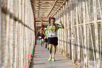 Carrera Moderna Sport Adidas 2025