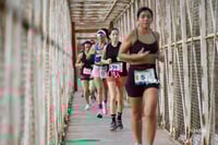 Carrera Moderna Sport Adidas 2025