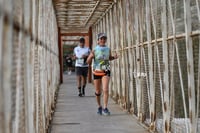 Carrera Moderna Sport Adidas 2025