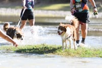 El Cruce, sexta edición 12K y 25K