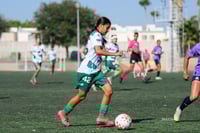 Santos Laguna vs Chivas femenil S19