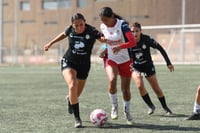 Frida Cussin, Kimberlin Galicia