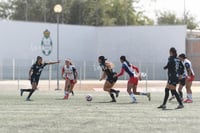 Santos Laguna vs Chivas Guadalajara S19