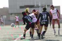 Santos Laguna vs Chivas Guadalajara S19
