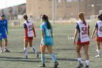 Santos Laguna vs Chivas Guadalajara S19