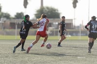 Santos Laguna vs Chivas Guadalajara S19