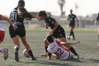 Santos Laguna vs Chivas Guadalajara S19
