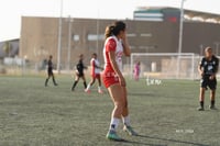 Santos Laguna vs Chivas Guadalajara S19