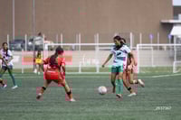 Estefanía Cisneros