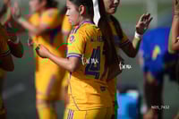 Santos Laguna vs Tigres UANL S19