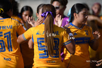 Santos Laguna vs Tigres UANL S19