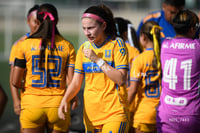 Santos Laguna vs Tigres UANL S19