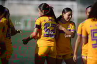 Santos Laguna vs Tigres UANL S19