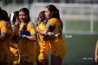 Santos Laguna vs Tigres UANL S19