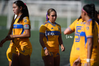 Santos Laguna vs Tigres UANL S19